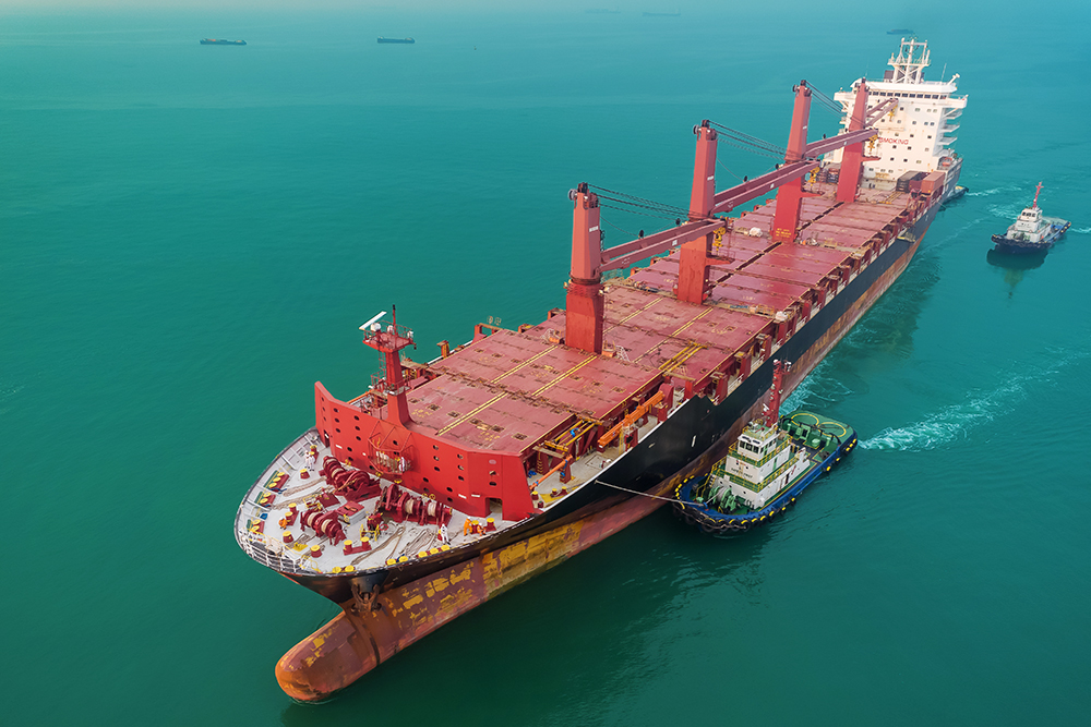 Bulk Carrier